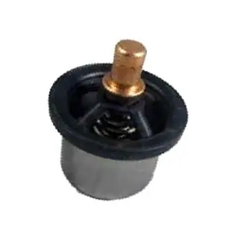 RE540379 Termostat John Deere Ekspresowa dostawa